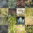 RHS How to Garden - thumbnail of spread image 4 Thumbnail image of RHS How to Garden - 4