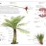 Ultimate Visual Dictionary - thumbnail of spread image 2 Thumbnail image of Ultimate Visual Dictionary - 2