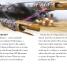 Star Wars Star Pilot - thumbnail of spread image 3 Thumbnail image of Star Wars Star Pilot - 3