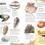 Seashore - thumbnail of spread image 4 Thumbnail image of Seashore - 4