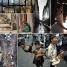 Digital Photography Complete Photographer - thumbnail of spread image 3 Thumbnail image of Digital Photography Complete Photographer - 3