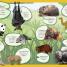 Eye Wonder: Mammals - thumbnail of spread image 3 Thumbnail image of Eye Wonder: Mammals - 3