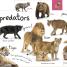 Tabbed Board Books: My First Zoo - thumbnail of spread image 3 Thumbnail image of Tabbed Board Books: My First Zoo - 3