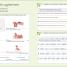English for Everyone English Grammar Guide Practice Book - thumbnail of spread image 4 Thumbnail image of English for Everyone English Grammar Guide Practice Book - 4