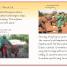 DK Readers L3: Hope for the Elephants - thumbnail of spread image 4 Thumbnail image of DK Readers L3: Hope for the Elephants - 4
