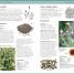 Herbal Remedies Handbook - thumbnail of spread image 4 Thumbnail image of Herbal Remedies Handbook - 4