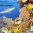 Pocket Eyewitness Science - thumbnail of spread image 3 Thumbnail image of Pocket Eyewitness Science - 3