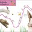 Follow the Trail: Baby Animals - thumbnail of spread image 1 Thumbnail image of Follow the Trail: Baby Animals - 1