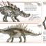 DK Pocket Eyewitness Dinosaurs - thumbnail of spread image 3 Thumbnail image of DK Pocket Eyewitness Dinosaurs - 3
