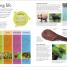 Science - thumbnail of spread image 4 Thumbnail image of Science - 4
