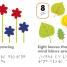 DK Braille: Counting - thumbnail of spread image 7 Thumbnail image of DK Braille: Counting - 7