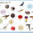 First Dinosaur Encyclopedia - thumbnail of spread image 4 Thumbnail image of First Dinosaur Encyclopedia - 4