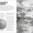 Dinosaurs - thumbnail of spread image 3 Thumbnail image of Dinosaurs - 3