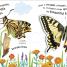 How Does a Butterfly Grow? - thumbnail of spread image 4 Thumbnail image of How Does a Butterfly Grow? - 4