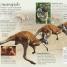 Eye Wonder: Mammals - thumbnail of spread image 4 Thumbnail image of Eye Wonder: Mammals - 4