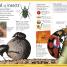 First Animal Encyclopedia - thumbnail of spread image 4 Thumbnail image of First Animal Encyclopedia - 4