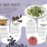 Super Clean Super Foods - thumbnail of spread image 4 Thumbnail image of Super Clean Super Foods - 4