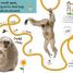 Follow the Trail At the Zoo - thumbnail of spread image 3 Thumbnail image of Follow the Trail At the Zoo - 3