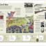 History Year by Year - thumbnail of spread image 7 Thumbnail image of History Year by Year - 7
