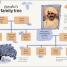 DK Life Stories: Gandhi - thumbnail of spread image 6 Thumbnail image of DK Life Stories: Gandhi - 6