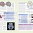 The Brain Book - thumbnail of spread image 4 Thumbnail image of The Brain Book - 4