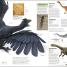 Dinosaurs and Prehistoric Life - thumbnail of spread image 6 Thumbnail image of Dinosaurs and Prehistoric Life - 6