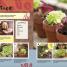 Let's Get Gardening - thumbnail of spread image 4 Thumbnail image of Let's Get Gardening - 4