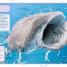 Sharks and Other Deadly Ocean Creatures Visual Encyclopedia - thumbnail of spread image 4 Thumbnail image of Sharks and Other Deadly Ocean Creatures Visual Encyclopedia - 4