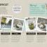 Sprouted! - thumbnail of spread image 4 Thumbnail image of Sprouted! - 4