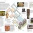 DK Eyewitness Hawaii - thumbnail of spread image 6 Thumbnail image of DK Eyewitness Hawaii - 6