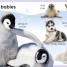 My First Baby Animals - thumbnail of spread image 2 Thumbnail image of My First Baby Animals - 2