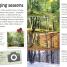 Woodland and Forest - thumbnail of spread image 4 Thumbnail image of Woodland and Forest - 4