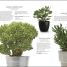 Practical Cactus and Succulent Book - thumbnail of spread image 5 Thumbnail image of Practical Cactus and Succulent Book - 5