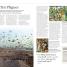 The Illustrated Bible - thumbnail of spread image 4 Thumbnail image of The Illustrated Bible - 4
