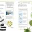 Biology - thumbnail of spread image 5 Thumbnail image of Biology - 5