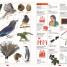 Children's Illustrated Dictionary - thumbnail of spread image 3 Thumbnail image of Children's Illustrated Dictionary - 3