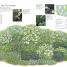 RHS Encyclopedia Of Herbs - thumbnail of spread image 3 Thumbnail image of RHS Encyclopedia Of Herbs - 3