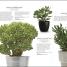 RHS Practical Cactus and Succulent Book - thumbnail of spread image 4 Thumbnail image of RHS Practical Cactus and Succulent Book - 4
