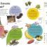 DKfindout! Forest - thumbnail of spread image 4 Thumbnail image of DKfindout! Forest - 4