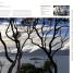 Digital Photographer's Handbook - thumbnail of spread image 4 Thumbnail image of Digital Photographer's Handbook - 4