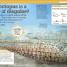 It Can't Be True! Animals! - thumbnail of spread image 8 Thumbnail image of It Can't Be True! Animals! - 8