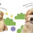 Really Feely Baby Animals - thumbnail of spread image 2 Thumbnail image of Really Feely Baby Animals - 2