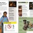 Star Wars How Not to Get Eaten by Ewoks and Other Galactic Survival Skills - thumbnail of spread image 7 Thumbnail image of Star Wars How Not to Get Eaten by Ewoks and Other Galactic Survival Skills - 7