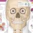 The Skeleton Book - thumbnail of spread image 4 Thumbnail image of The Skeleton Book - 4