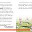 DK Readers L3: Soccer School - thumbnail of spread image 4 Thumbnail image of DK Readers L3: Soccer School - 4