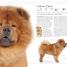 The Dog Encyclopedia - thumbnail of spread image 2 Thumbnail image of The Dog Encyclopedia - 2