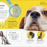 The Everything Book of Dogs and Puppies - thumbnail of spread image 5 Thumbnail image of The Everything Book of Dogs and Puppies - 5