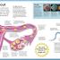 My Amazing Body Machine - thumbnail of spread image 8 Thumbnail image of My Amazing Body Machine - 8