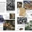 World War I - thumbnail of spread image 4 Thumbnail image of World War I - 4