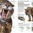 Dinosaurios - thumbnail of spread image 5 Thumbnail image of Dinosaurios - 5